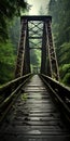 Post-apocalyptic Railroad Bridge In The Forest Royalty Free Stock Photo