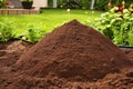 photograph of a mole hill in a garden