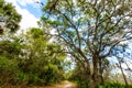 Nature Trail in Jelks Preserve Venice Florida