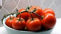 A bowl of ripe red vine tomatos. Royalty Free Stock Photo