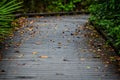 Boardwalks through the Park - Miami Florida