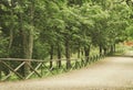 Path in a wooded area and fence Royalty Free Stock Photo