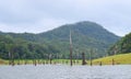 Periyar Lake with Submerged Trees and Hill, Kerala, India Royalty Free Stock Photo