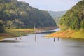 Periyar Lake and National Park, Thekkady, Kerala, India Royalty Free Stock Photo