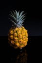 Photograph of a pineapple with side window light