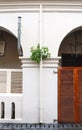 Photograph of Plant growing on Modern Old Building house wall in Street Sri Lanka Royalty Free Stock Photo