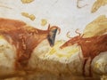 Photograph of drawings dating from the Paleolithic period from the reproduction of La Grotte de Lascaux Royalty Free Stock Photo