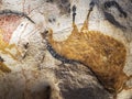 Photograph of drawings dating from the Paleolithic period from the reproduction of La Grotte de Lascaux Royalty Free Stock Photo