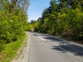 A photograph of repaired road in the forest