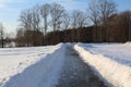 Road in winter forest