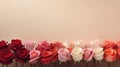 photograph rose flower background minimalist