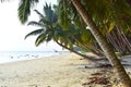 Row of Palm Trees at Peaceful Serene Beach, Vijaynagar, Havelock Island, Andaman, India