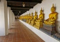 A photograph of row of statues of Buddha