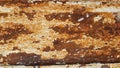 Photograph of a rusty steel door with peeling paint