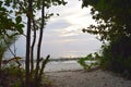 Sandy Shady Path to Beach through Coastal Green Plants - Kalapathar Beach, Havelock Island, Andaman Nicobar, India Royalty Free Stock Photo