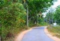 Scenic Asphalt Concrete Road through Greenery around - Neil Island, Andaman, India