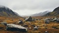 Moody And Evocative Landscape Photography: Tundra With Sharp Boulders And Rocks