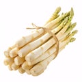 Bundle of White and Green Asparagus Tied with Twin isolated on white background Royalty Free Stock Photo