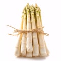 Bundle of White and Green Asparagus Tied with Twin isolated on white background Royalty Free Stock Photo