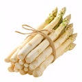 Bundle of White and Green Asparagus Tied with Twin isolated on white background Royalty Free Stock Photo