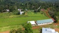 The Serene Beauty of Green Fields, Fruitful Orchards, and Traditional Village Life Royalty Free Stock Photo