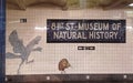 New York city subway station mosaic art for Museum of Natural History Royalty Free Stock Photo