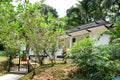 Rustic style black and white bungalow house, Singapore