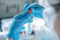 Photograph shows a healthcare worker performing blood test in a chemical laboratory to identify disease markers and Royalty Free Stock Photo