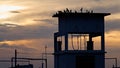 Scenic photograph of the silhouettes of a few birds Royalty Free Stock Photo