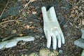 Photograph of a sinlge glove by the wayside Royalty Free Stock Photo