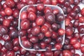 Photograph: Small White Dish of Fresh Ripe Cranberries