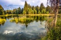 Snake River Jackson Hole With Reflections Royalty Free Stock Photo