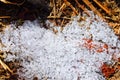 Different Shapes of Crystals of Transparent Clear White Snow Accumulated after Snow Fall in Winter