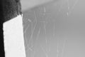 Photograph of a spider web in a house. Royalty Free Stock Photo