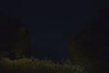 Photograph Of The Stars On A Clean Day Of Summer Clouds Through A Lush Forest. Night Photography, Landscapes, Astrology, Science