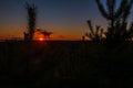 A photo of the sunset taken from the edge of tree