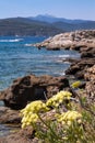 Elba Island, Tuscany, Itlay