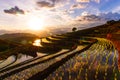 Photograph of terraced paddy field in cloudy and rainy day in Mae-Jam district, Chiang Mai Province, Thailand Royalty Free Stock Photo