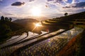 Photograph of terraced paddy field in cloudy and rainy day in Mae-Jam district, Chiang Mai Province, Thailand Royalty Free Stock Photo