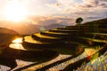 Photograph of terraced paddy field in cloudy and rainy day in Mae-Jam district, Chiang Mai Province, Thailand Royalty Free Stock Photo