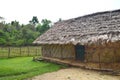 Thatched Tribal Hut, Grass, Fence, and Greenery at Village, Baratang Island, Andaman Nicobar, India