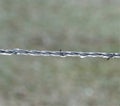 Thick ice on a strand of barb wire. Royalty Free Stock Photo