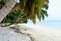 White Sandy Beach with Azure Water with Palm Trees and Greenery - Vijaynagar, Havelock, Andaman Nicobar, India Royalty Free Stock Photo