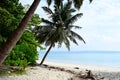 White Sandy Beach with Blue Sea Water with Coconut Trees and Greenery - Vijaynagar, Havelock, Andaman Nicobar, India