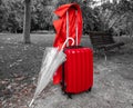 Photograph of a travel suitcase, an umbrella and a red gabardine in a park