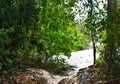 Eco-Tourism - Trek through Evergreen Tropical Rain Forest - Elephant Beach, Havelock Island, Andaman Islands, India