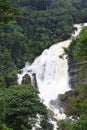 Gushing Milky White Water - Valara Waterfalls in Thick Forest in Idukki, Kerala, India - Natural Wallpaper Royalty Free Stock Photo