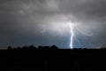 A bright lightning bolt with many side branches strikes down to earth. Royalty Free Stock Photo