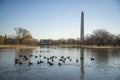 The Washington Vietnam war Monument Royalty Free Stock Photo