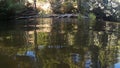 Photograph at the water`s edge in a river in CÃÂ¡ceres with stones in the background and tree branches in the water, in Spain.